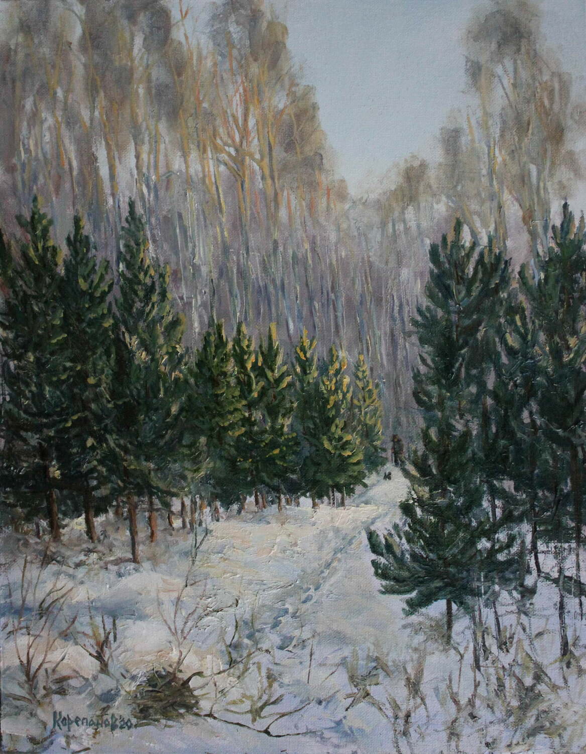 Пейзаж зимний в лесу, молодые сосны. Горный щит, Курганово