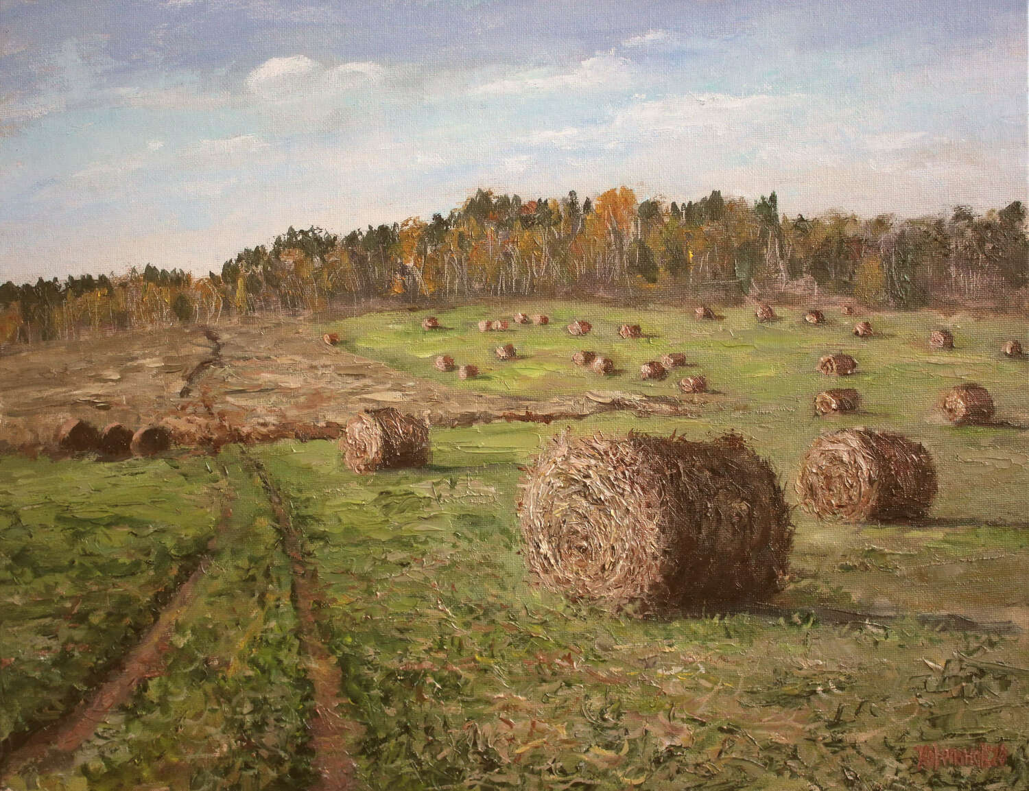 Летний пейзаж поле с тюками сена